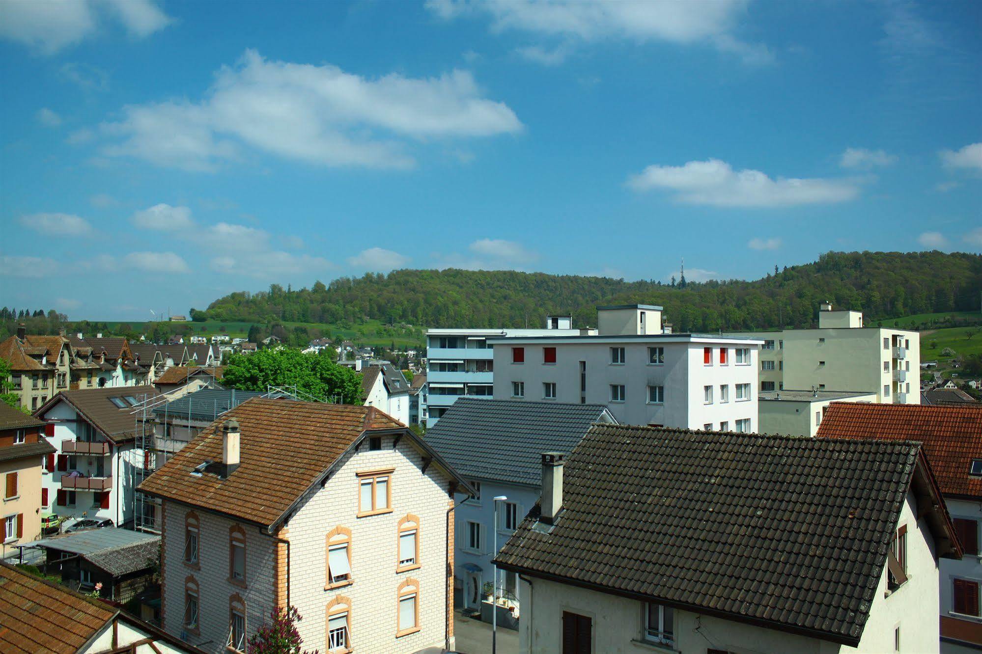 Hotel Rheinfall 3*